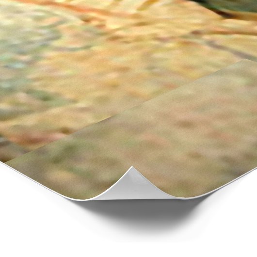 Our Lady of Guadalupe Tilma Replica Poster (Hoek)