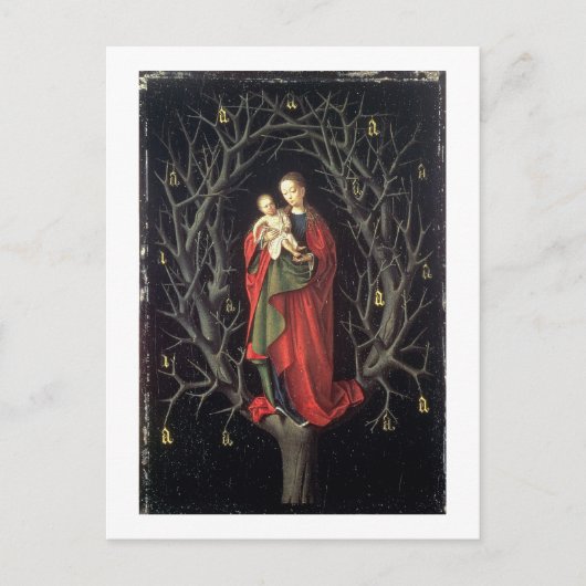 Our Lady of the Dry Tree c.1450 (oil on panel) Briefkaart (Voorkant)