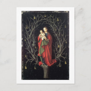 Our Lady of the Dry Tree c.1450 (oil on panel) Briefkaart
