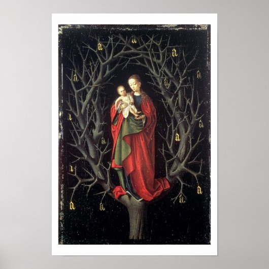 Our Lady of the Dry Tree c.1450 (oil on panel) Poster (Voorkant)