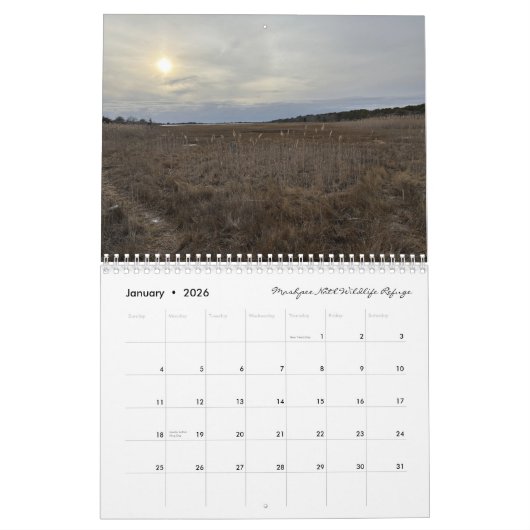 Our Natural Spaces: dreamflower 2026 calendar Kalender (Jan 2026)