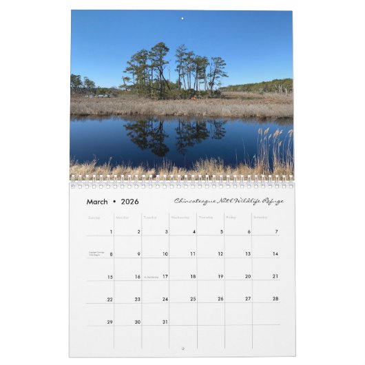 Our Natural Spaces: dreamflower 2026 calendar Kalender (Mar 2026)