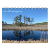 Our Natural Spaces: dreamflower 2026 calendar Kalender (Hoes)