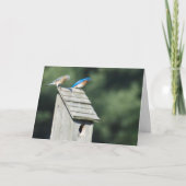 Our New Home, Card Aankondiging (Voorkant)