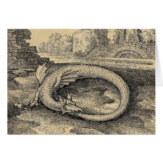 Ouroboros Dragon Biting it's Ewn Tail (Voorkant Horizontaal)
