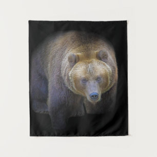 Ours Brun Grizzly Animal Vie Sauvage Forêt Jungle Wandkleed