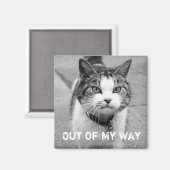 "Out of My Way" Crabby Cat Magnet (Voorkant / Achterkant)