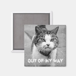 "Out of My Way" Crabby Cat Magnet
