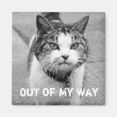"Out of My Way" Crabby Cat Magnet (Voorkant)