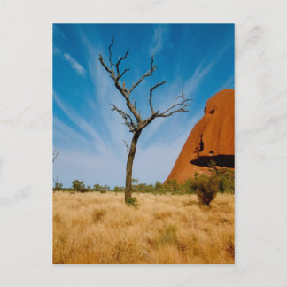 Outback Australia Briefkaart
