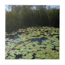 Outback Lily Pads keramische Tegel Tegeltje