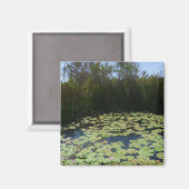 Outback Lily Pads Magnet (Voorkant / Achterkant)