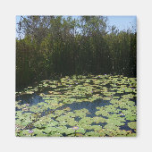 Outback Lily Pads Magnet (Voorkant)