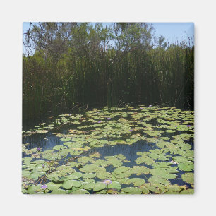 Outback Lily Pads Magnet