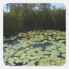 Outback Lily Pads Sticker