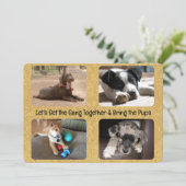 Outdoor Party Invitation Four Replaceable Photos Kaart (Staand voorkant)