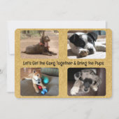 Outdoor Party Invitation Four Replaceable Photos Kaart (Voorkant)