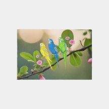 Outdoor tapijten Budgies