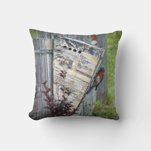 Outdoorkleding Buitenkussen (Voorkant)