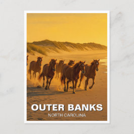 Outer Banks North Carolina Paarden Reizen Briefkaart