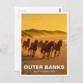 Outer Banks North Carolina Paarden Reizen Briefkaart (Voorkant / Achterkant)