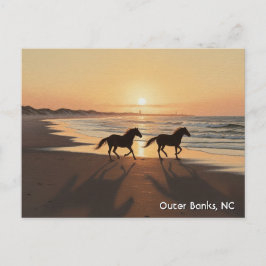 Outer Banks North Carolina Reizen Briefkaart