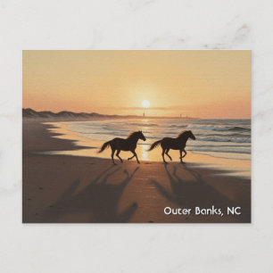 Outer Banks North Carolina Reizen Briefkaart
