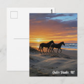 Outer Banks North Carolina Reizen Briefkaart (Voorkant / Achterkant)