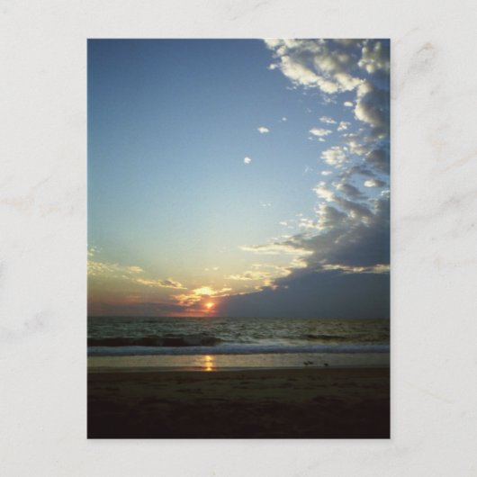 Outerbanks Morning 1 Briefkaart (Voorkant)