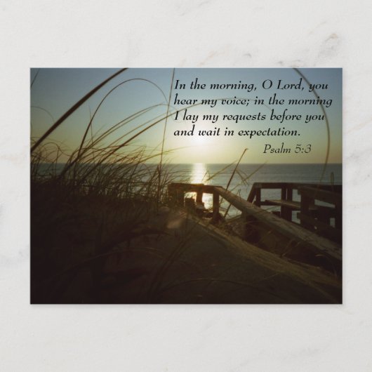 Outerbanks Morning 4 Briefkaart (Voorkant)