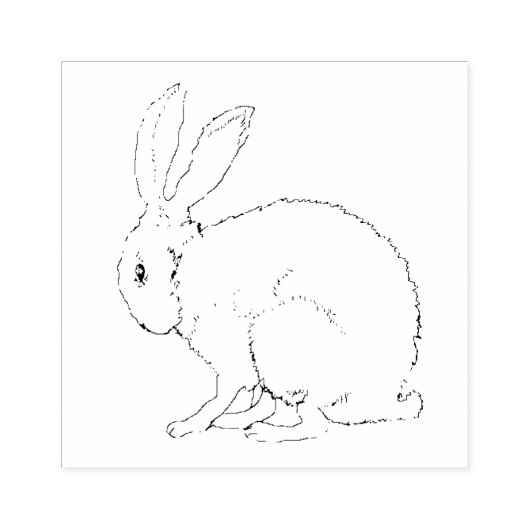Outline Tekening van Zittend Schattige Konijnkonij Rubberstempel (Afrduk)