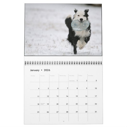 Ouzo 2010 Agenda Kalender (Jan 2026)