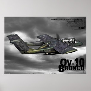 Ov-10 wild paard poster
