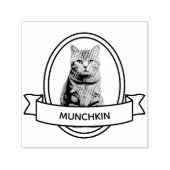 Ovaal Custom Pet Kat Foto en Naam Lint Zelfinktende Stempel (Design)