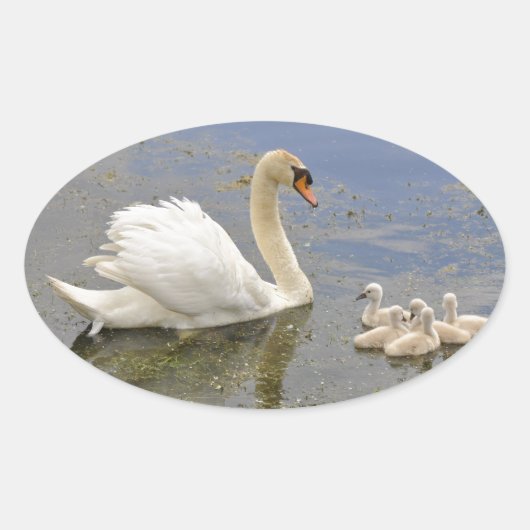 Ovaal Sticker - Gepersonaliseerd (Voorkant)