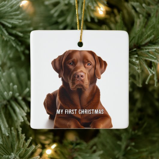 Oval Puppy Mijn eerste kerstfoto Ornamenten (Boom)