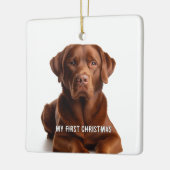 Oval Puppy Mijn eerste kerstfoto Ornamenten (Links)