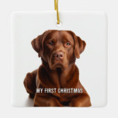 Oval Puppy Mijn eerste kerstfoto Ornamenten (Voorkant)