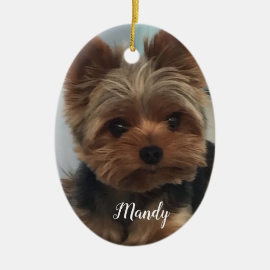 Oval Yorkie Ornament (Voorkant)