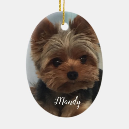 Oval Yorkie Ornament (Achterkant)