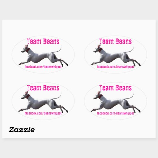 Ovale Decal Teambonen Ovale Sticker (Vel)