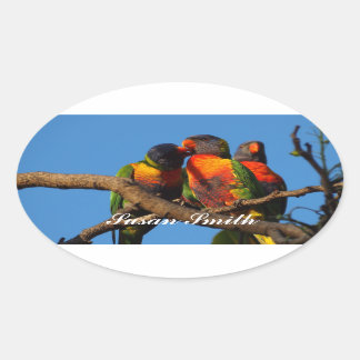 Ovale foto-sticker met naam - Rainbow Loriket Sticker