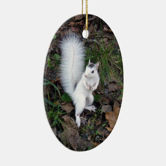 Ovale sierbloem - Brevard White Squirrel Keramisch Ornament (Rechts)