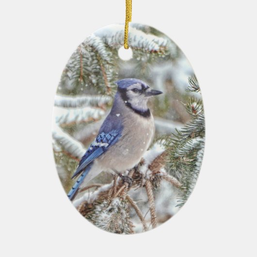 Ovale sierbloem met blauw Jay in sneeuw Keramisch Ornament (Voorkant)