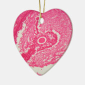 Ovariumcellen onder de microscoop. keramisch ornament (Links)