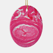 Ovariumcellen onder de microscoop. keramisch ornament (Rechts)