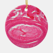 Ovariumcellen onder de microscoop. keramisch ornament (Voorkant)