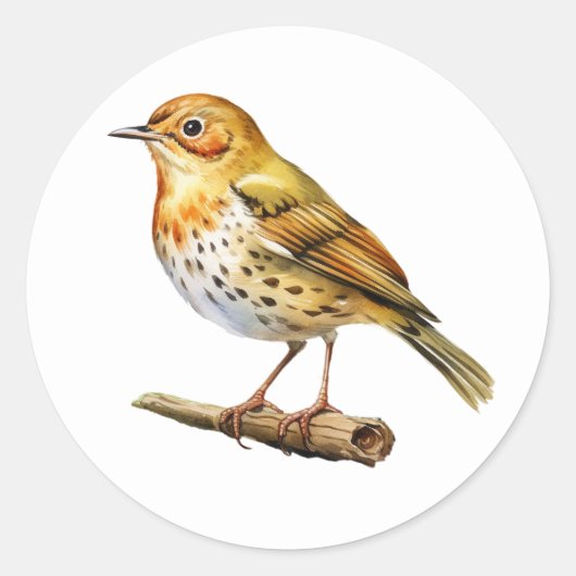 Oven Bird Stickers (Voorkant)