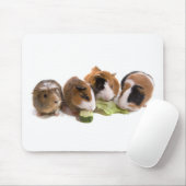 oven guinea pigs who eat; muismat (Met muis)