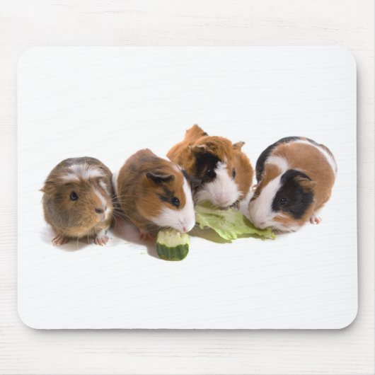 oven guinea pigs who eat; muismat (Voorkant)
